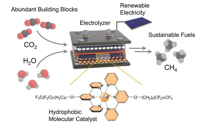 Innovativer Katalysator 